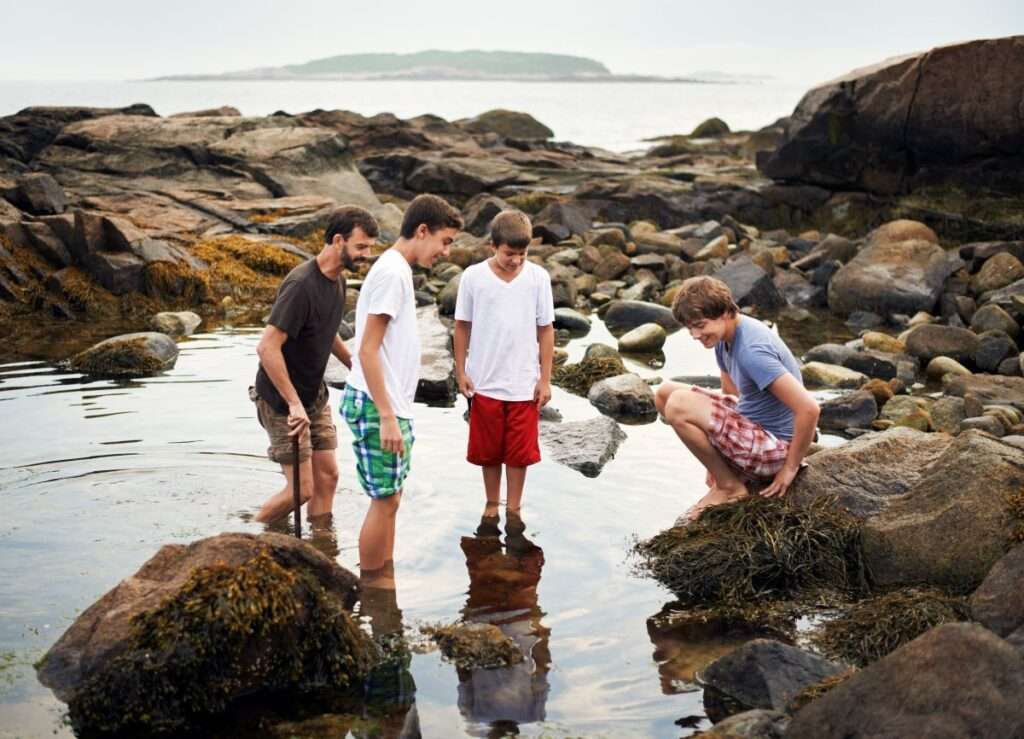family standing in a shallow tide pool surrounded by rocks at the ocean