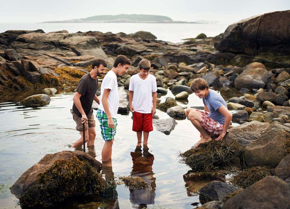 family standing in a shallow tide pool surrounded by rocks at the ocean